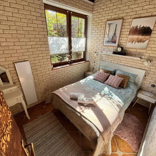 AgroStudio，位于Wieża的酒店