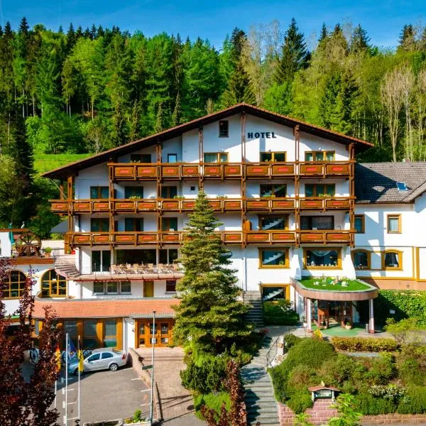 Holzschuhs Schwarzwaldhotel，位于Hundsbach的酒店