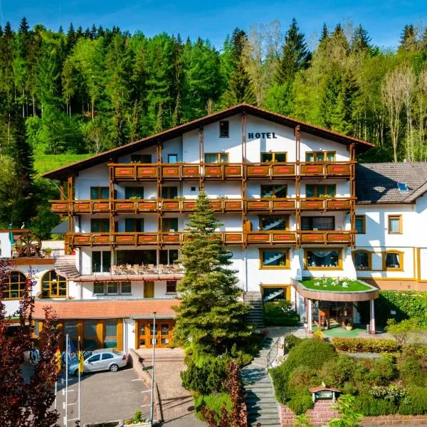Holzschuhs Schwarzwaldhotel，位于拜尔斯布龙的酒店