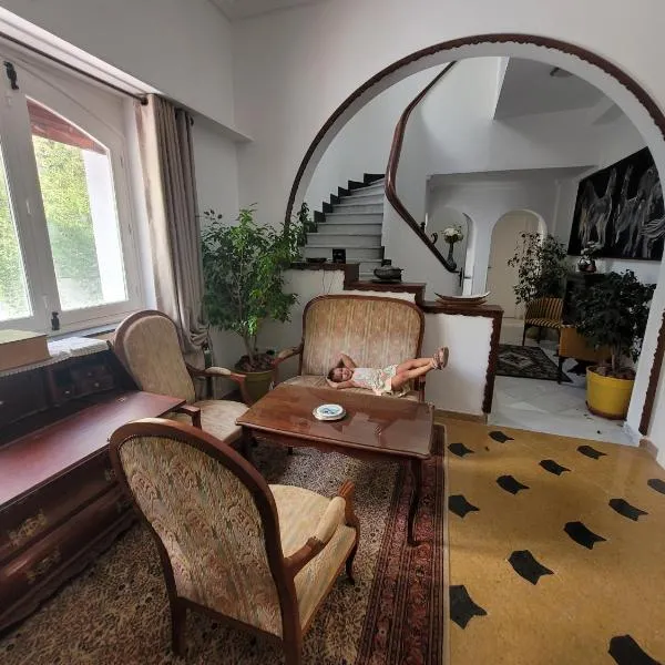 Villa Belvedere，位于突尼斯的酒店