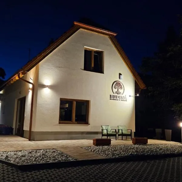Apartmánový dom Budiná，位于Budiná的酒店