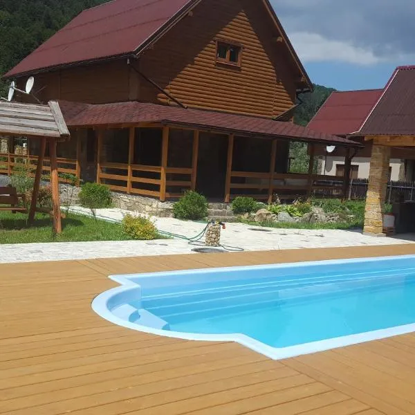 Guest House in Carpathians，位于Putyla的酒店