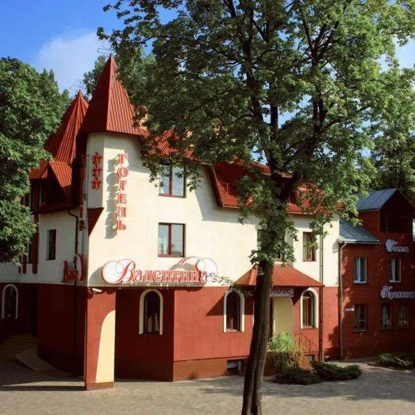 Valentyna，位于Lisopotik的酒店