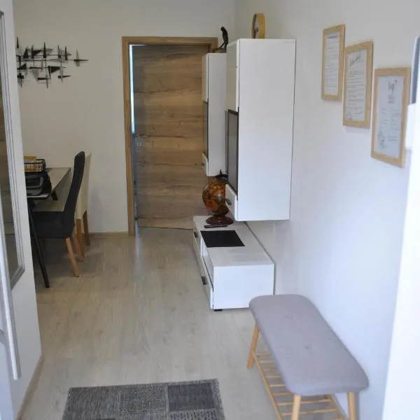 Prenočišča Dany APARTMA 1，位于Dravograd的酒店