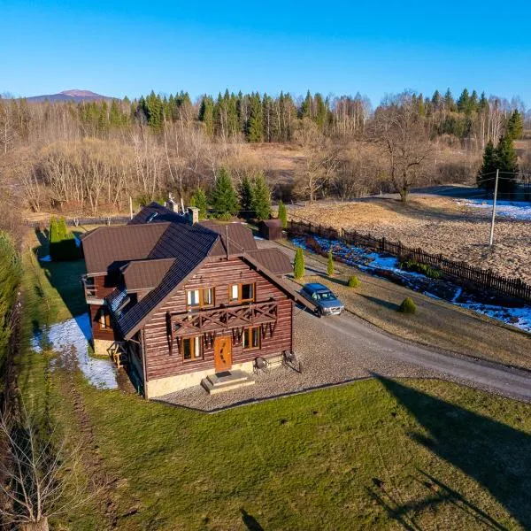 Dom Gościnny Borsuczyna，位于韦特利纳的酒店