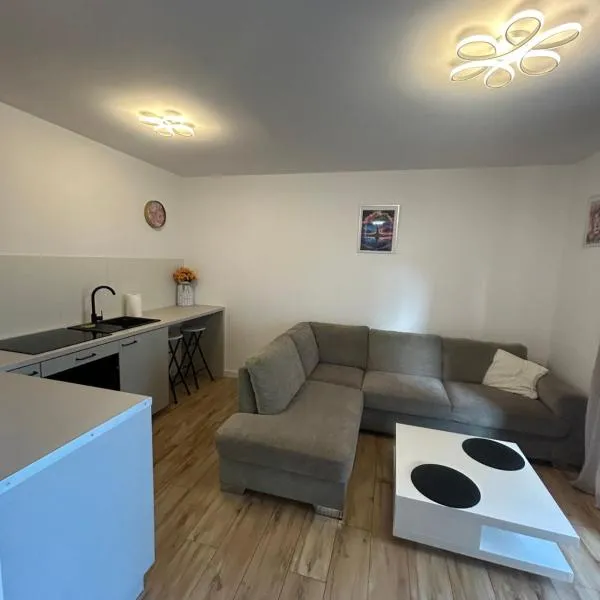 Apartament Camila，位于莱什诺的酒店