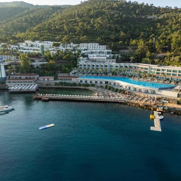 Blue Dreams Resort Bodrum - Aquapark & Ultra All Inclusive，位于托尔巴的酒店