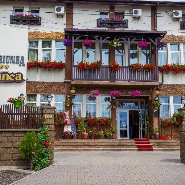 比安卡旅馆，位于博托沙尼的酒店