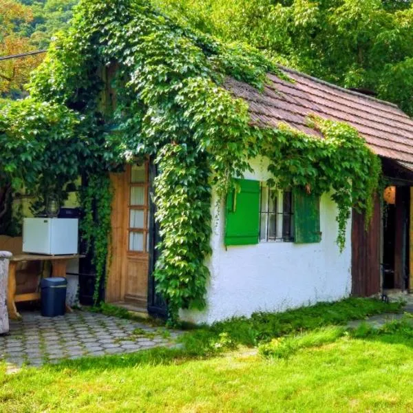 Donauhaus - Natur, Kultur, Entspannung & Sport，位于Aggsbach的酒店