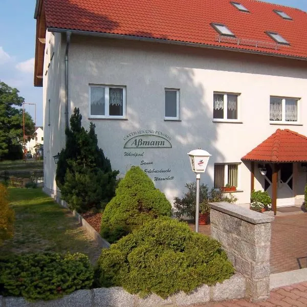 Hotel & Pension Aßmann，位于Eulowitz的酒店