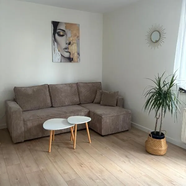 Przestronny apartament w Lubawie z dwoma pokojami i świetnym wyposażeniem，位于Lubawa的酒店