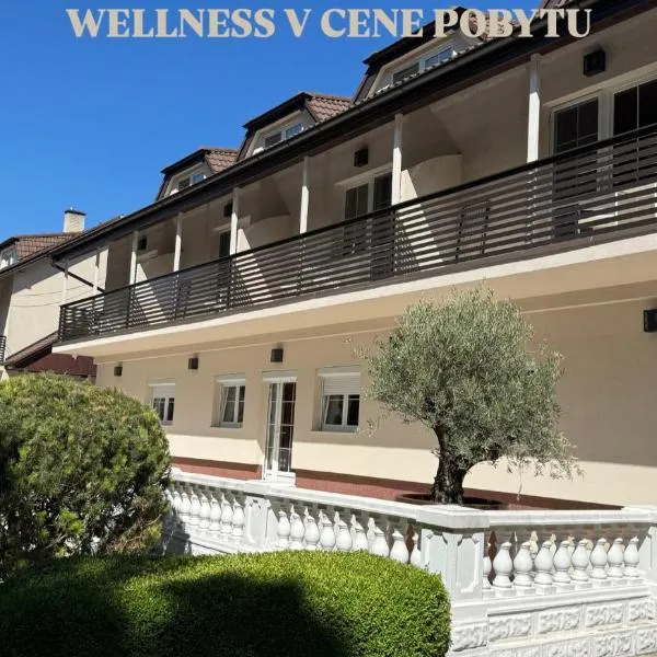 Penzión Odysea，位于维内的酒店