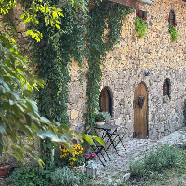 Essentia - Vinársky domček s vonkajšou vírivkou，位于Streda nad Bodrogom的酒店