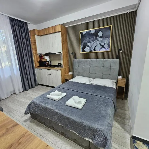 AchiDav 133，位于奥内什蒂的酒店