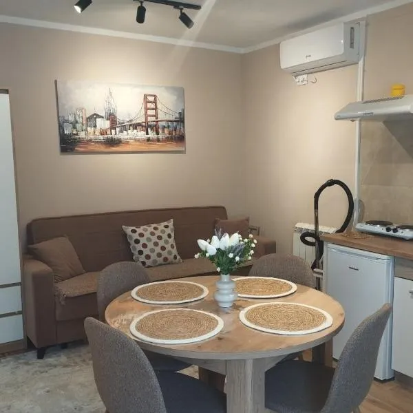 Prenoćište Lana 3，位于Novi Banovci的酒店