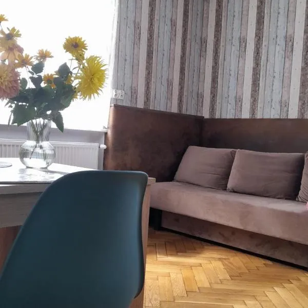 Apartament VINCENT，位于姆拉哥沃的酒店