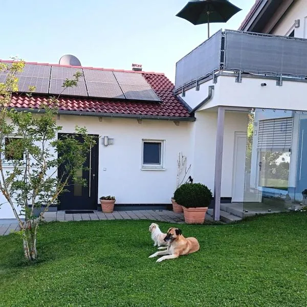 Ferienwohnung IDA，位于派廷格的酒店