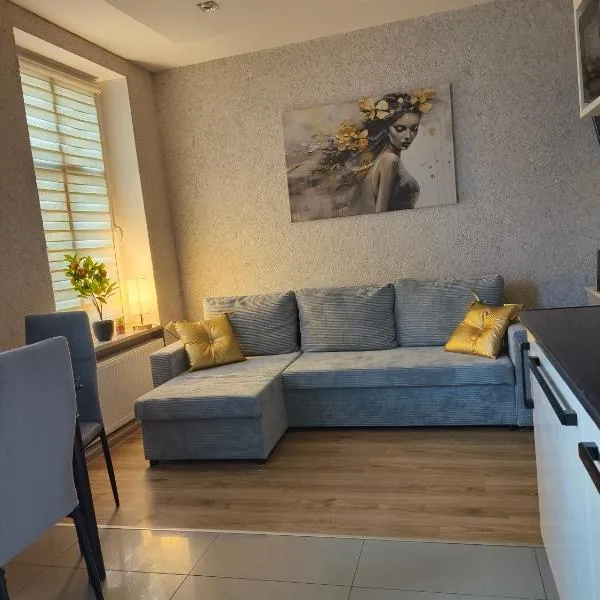 Apartament Altbau Słubice，位于斯拉百斯的酒店