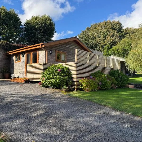 Swansea Log Cabin，位于Pontardawe的酒店