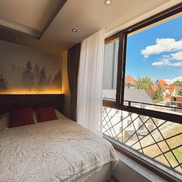 Evergreen Lux，位于科帕奥尼克的酒店