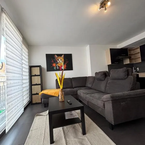 Appartement spacieux centre Huy，位于于伊的酒店