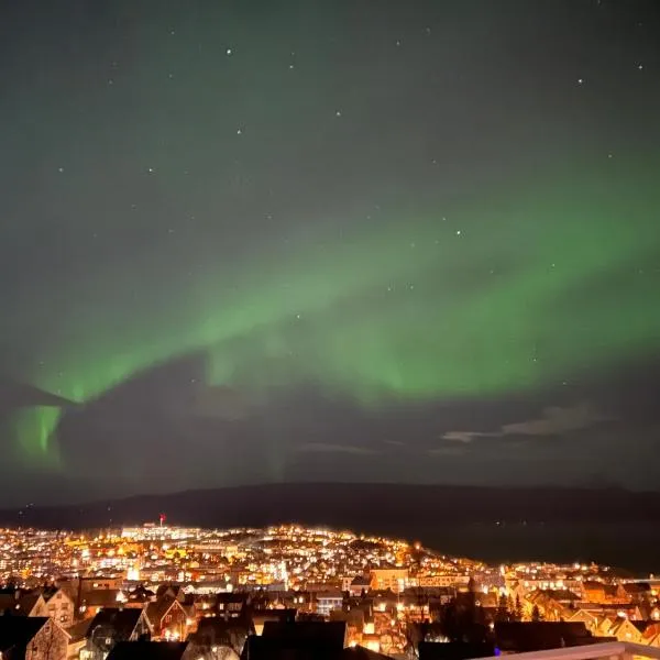 Apartment by Narvikfjellet，位于纳尔维克的酒店