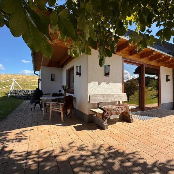 Chalet Landsitz，位于迪波尔迪斯瓦尔德的酒店