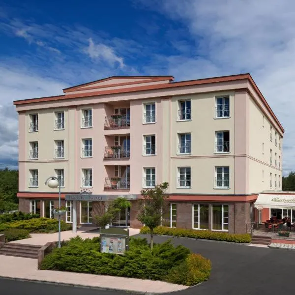 弗朗西斯宫酒店，位于Lipná的酒店