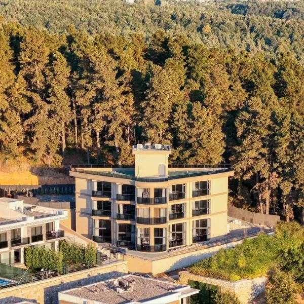 Sapanora Hotel，位于萨潘贾的酒店