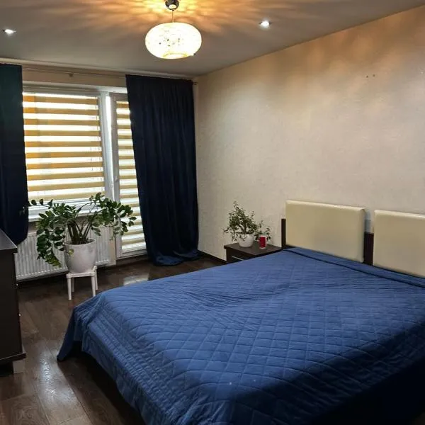 Dviejų miegamųjų butas，位于约尼什基斯的酒店