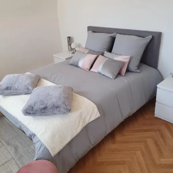 Duplex Éléonore-Lilas，位于米卢斯的酒店