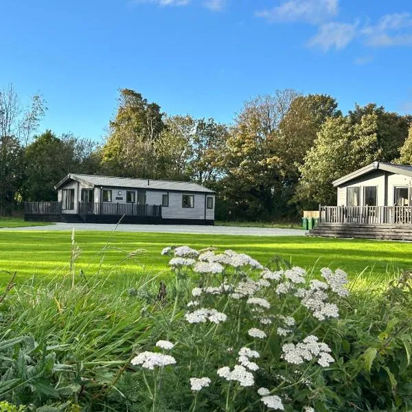 Willow lodge，位于Brynteg的酒店