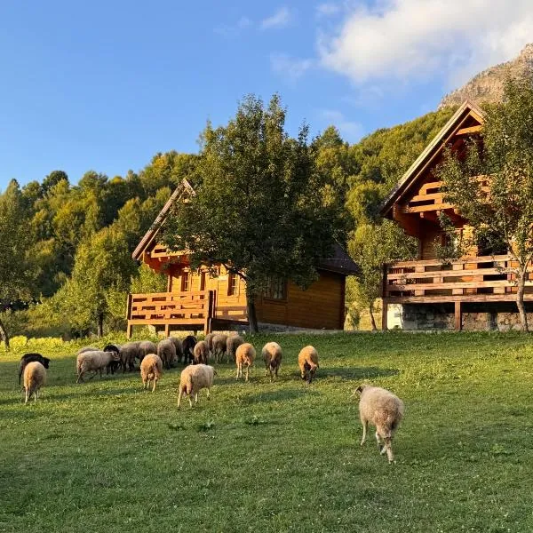 Bujtina Pepushaj Lepushe，位于Lëpushë的酒店