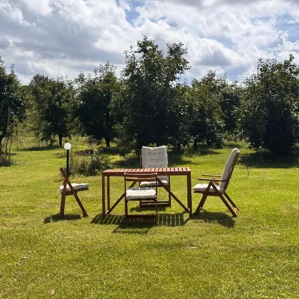 B&B Orto di Borghi，位于法恩莎的酒店