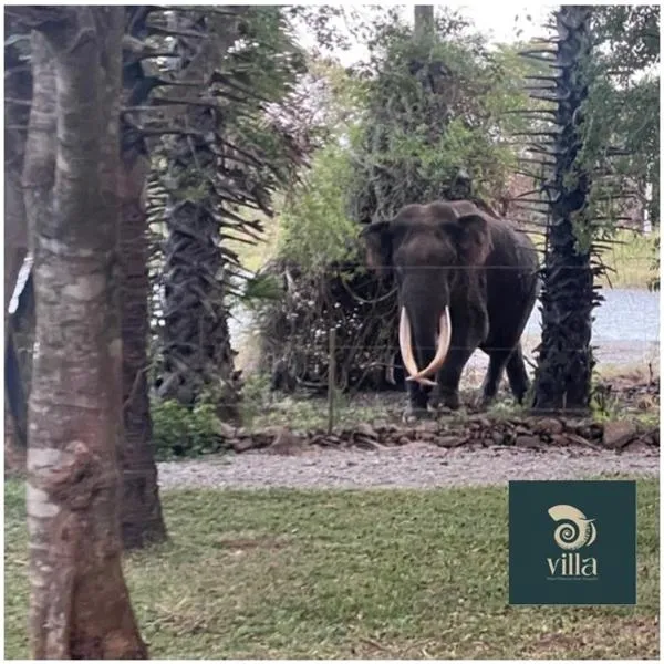 MaVilla，位于哈伯勒内的酒店