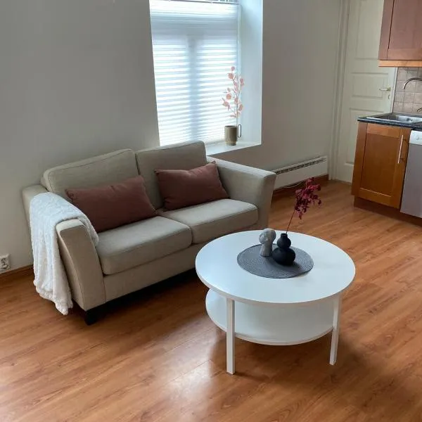 Central bus station apt D14C，位于纳尔维克的酒店