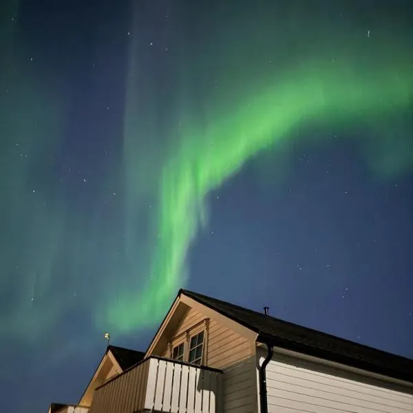 Idyllisk sjøhus på Naurstad，位于波多的酒店