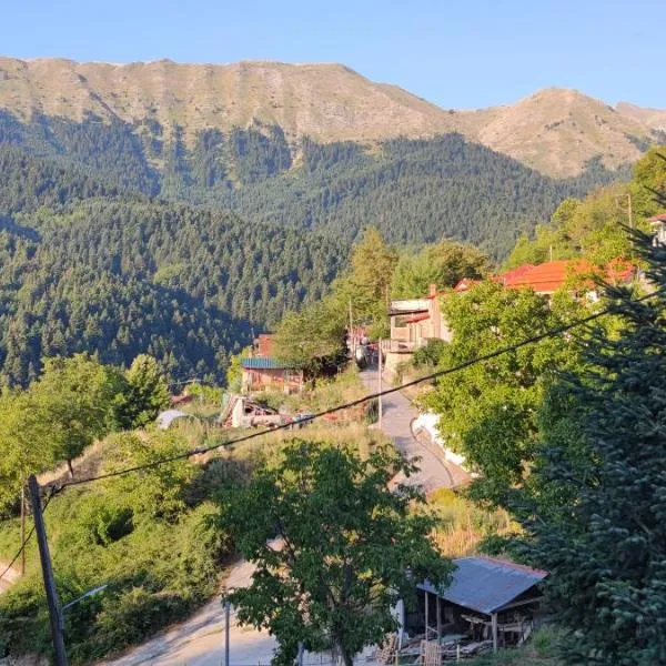 pasithea mountain rooms，位于Fylaktí的酒店