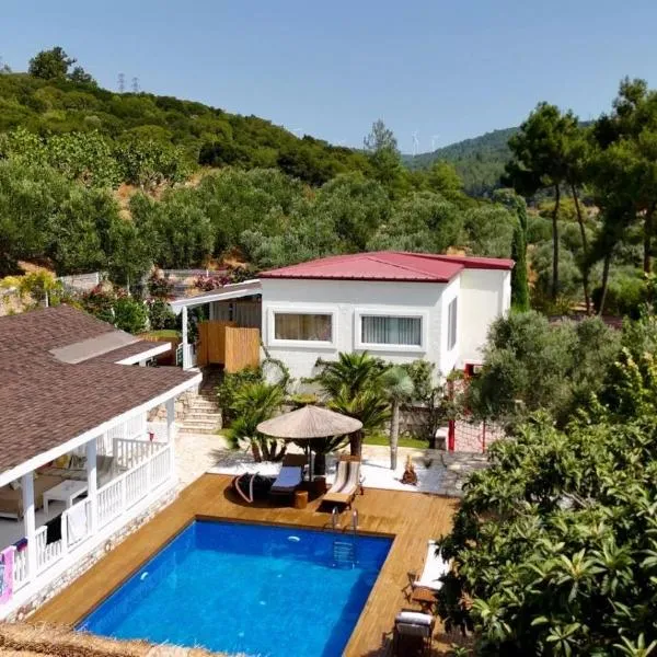 Casa del Olivia，位于塞费里希萨尔的酒店