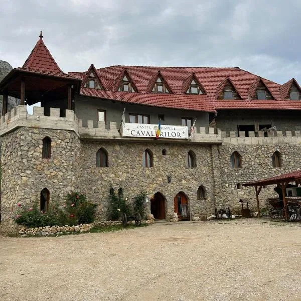 Castel Templul Cavalerilor，位于Vălişoara的酒店