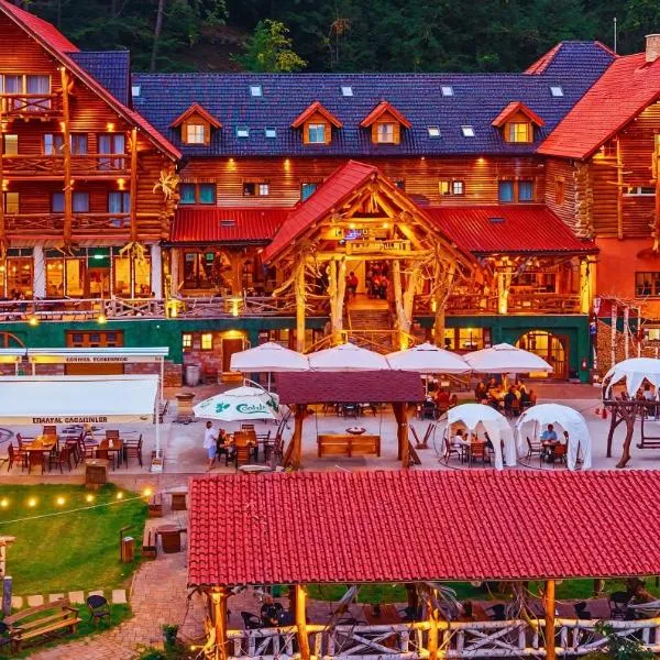 Conacul Radacinilor，位于彼得罗沙尼的酒店