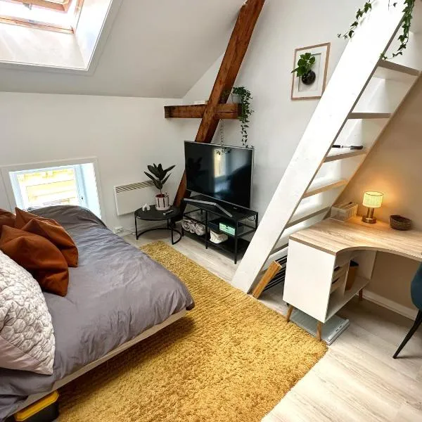 Chic Top Floor Loft - Perfect Location，位于奥斯陆的酒店