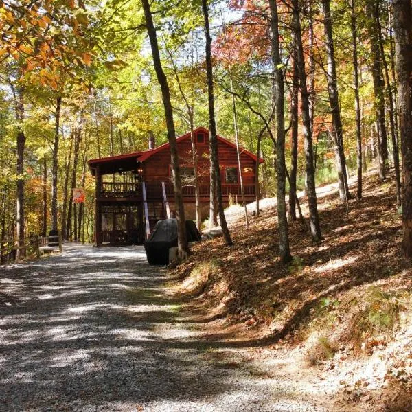 Triple Nickel Cabin，位于蓝岭的酒店