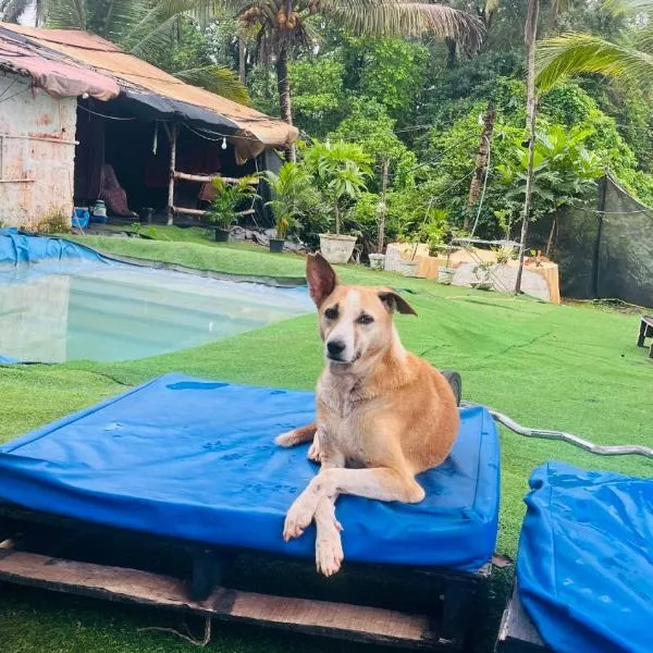 Vibe Stay by Andaz，位于阿姆波尔的酒店