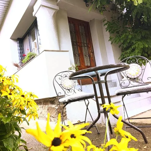 Casa cu trandafiri，位于巴亚马雷的酒店