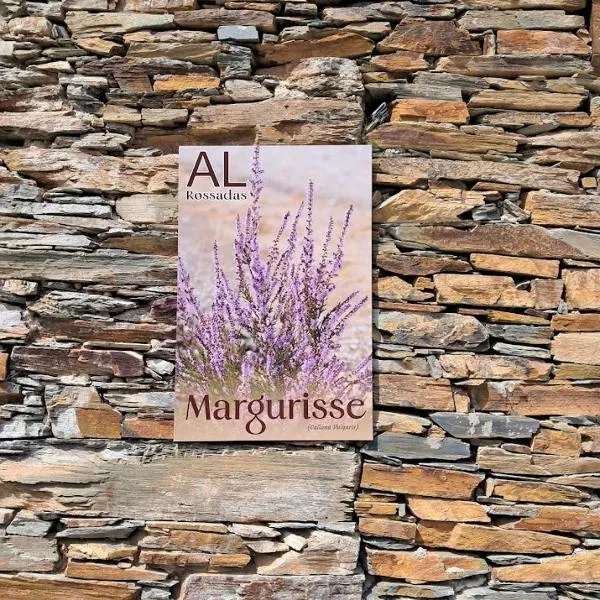 AL Rossadas Margurisse，位于Benfeita的酒店