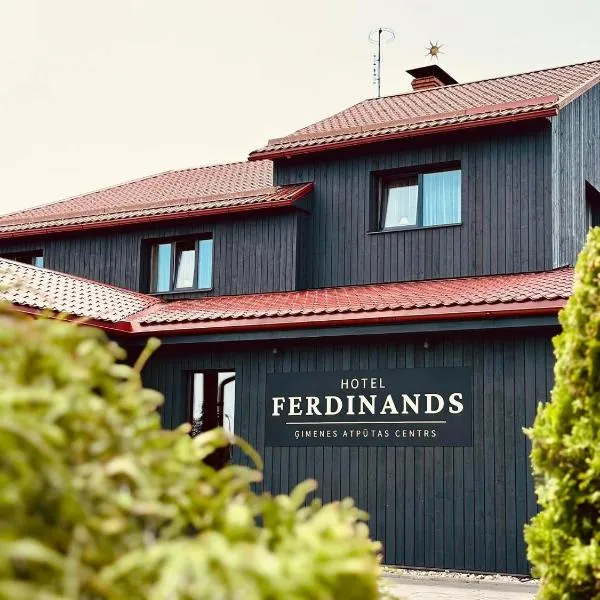 Ferdinands SPA，位于阿卢克斯内的酒店
