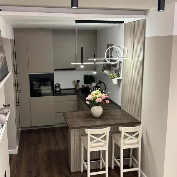 Premium Line Apartman，位于松博尔的酒店