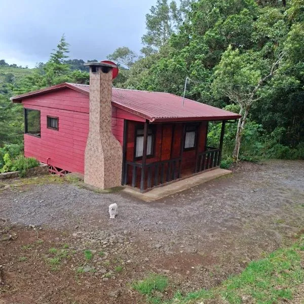 Las Bromelias Lodge，位于Paso Macho的酒店