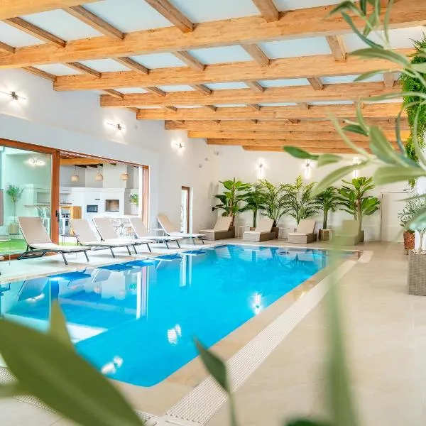 Maramures Retreat & SPA，位于波耶尼莱伊泽的酒店